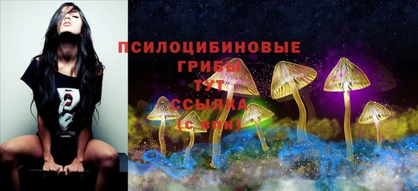 дживик Пролетарск