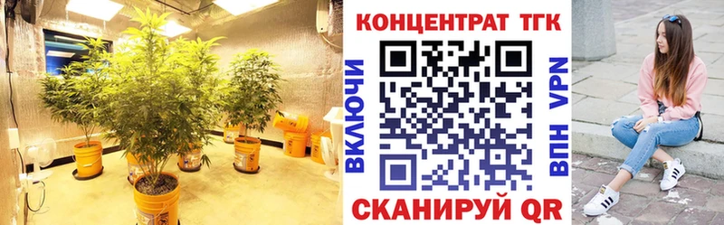 Купить  Мурино  Дистиллят ТГК гашишное масло 